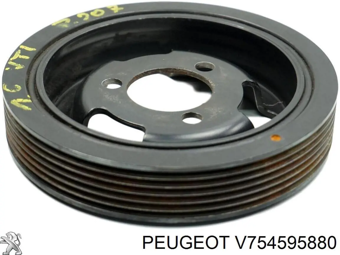 Купити V754595880 Peugeot/Citroen 