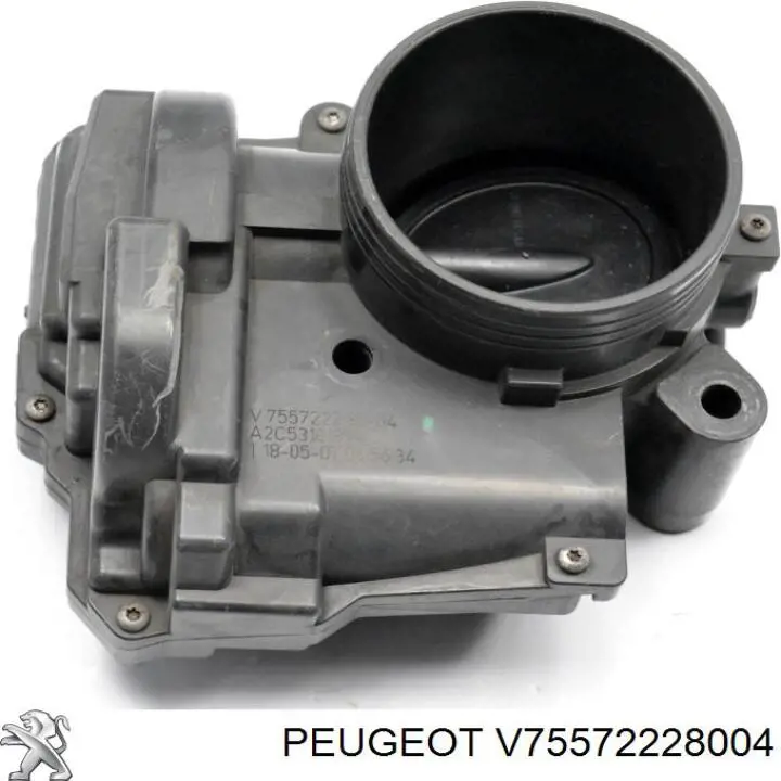  V75572228004 Peugeot/Citroen