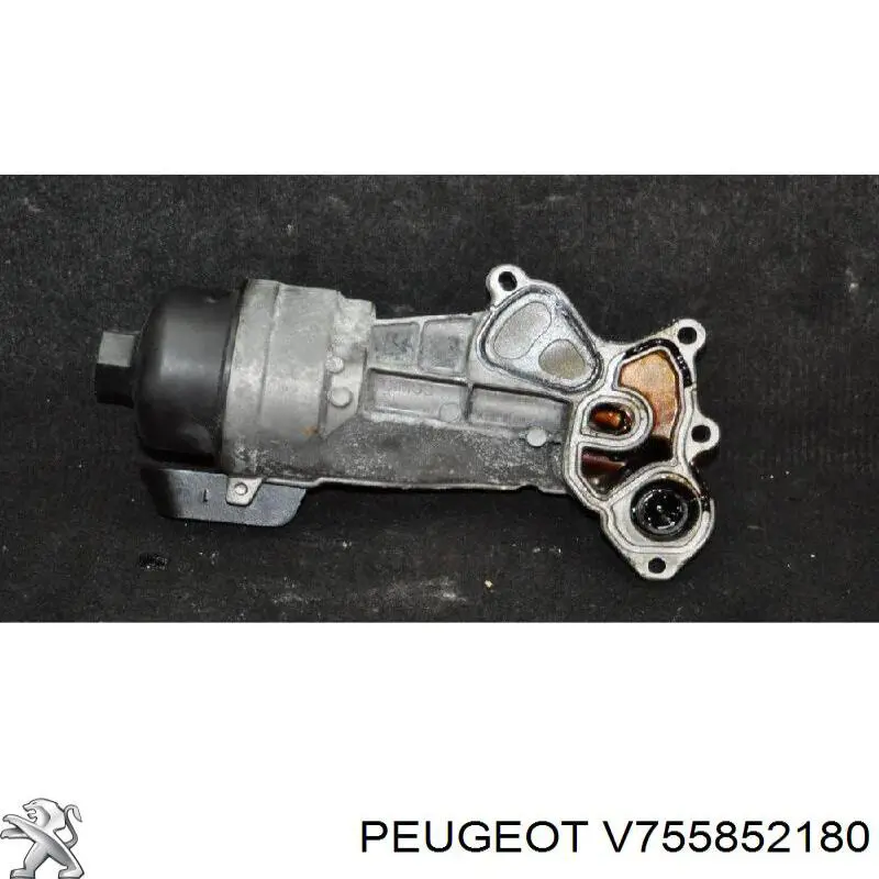 V755852180 Peugeot/Citroen 