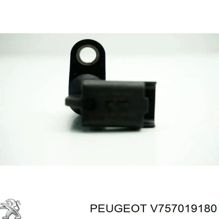 Купити V757019180 Peugeot/Citroen ДПРВ