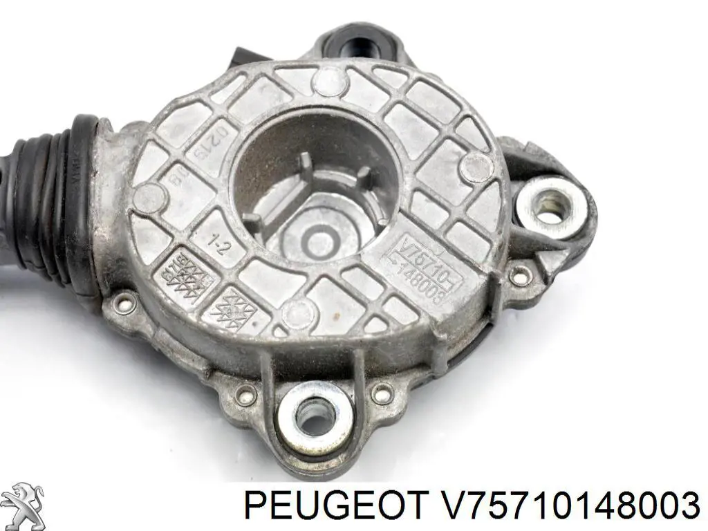 Купити V75710148003 Peugeot/Citroen 