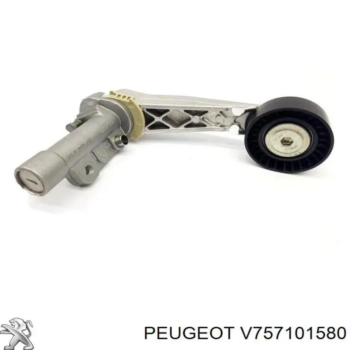 Купити V757101580 Peugeot/Citroen 