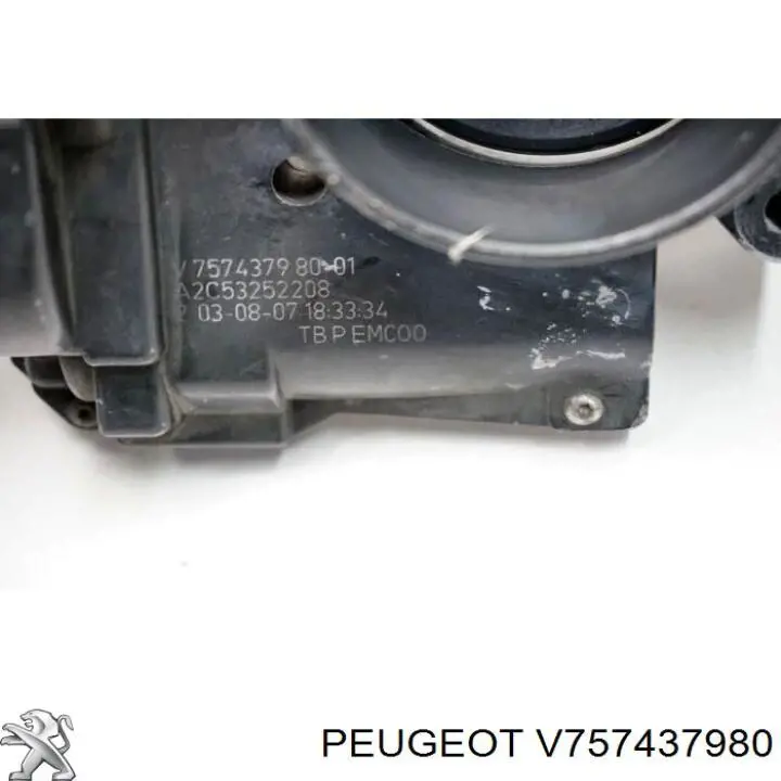  V757437980 Peugeot/Citroen
