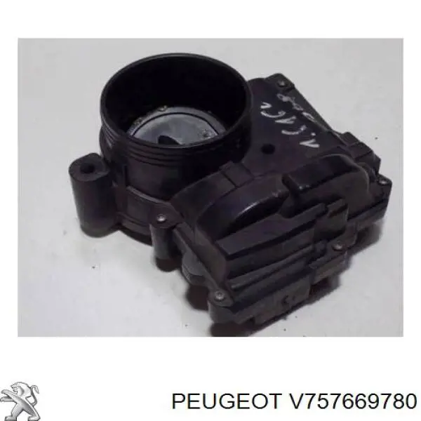  V757669780 Peugeot/Citroen