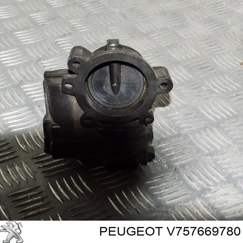 V757669780 Peugeot/Citroen 