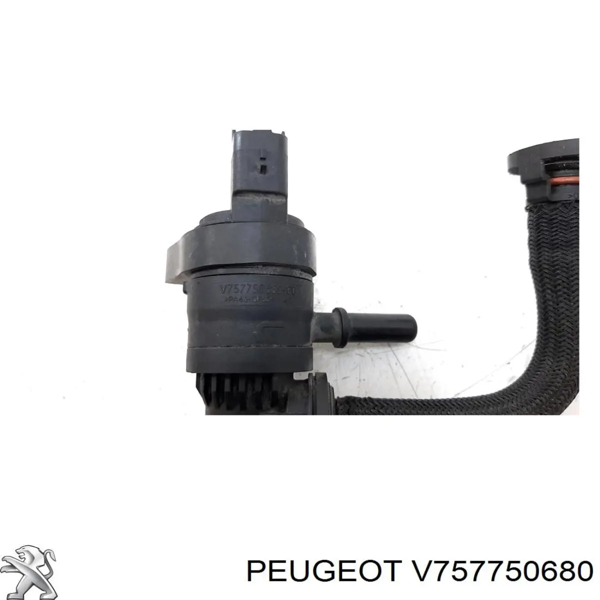 Купити V757750680 Peugeot/Citroen 