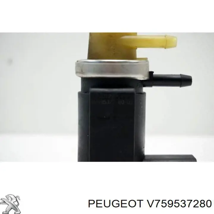 V759537280 Peugeot/Citroen 
