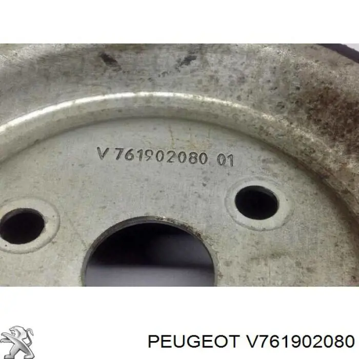 Купити V761902080 Peugeot/Citroen 