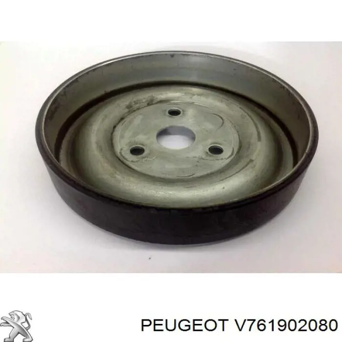 V761902080 Peugeot/Citroen 