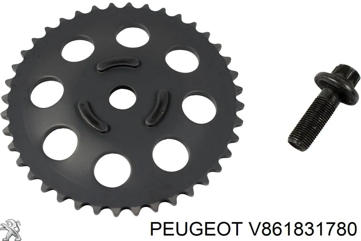 V861831780 Peugeot/Citroen Ланцюг ГРМ, комплект