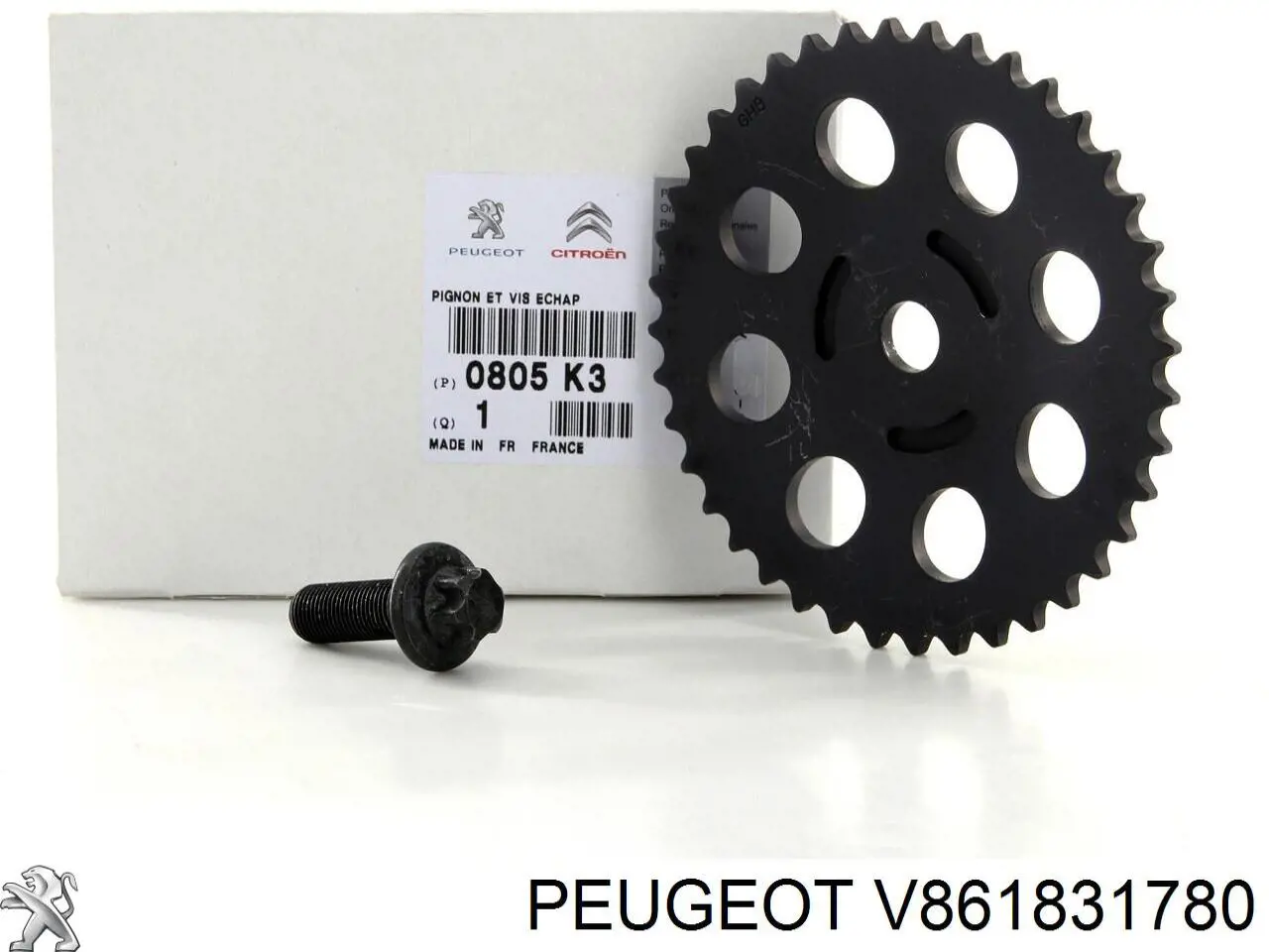 Купити V861831780 Peugeot/Citroen Комплект ланцюга ГРМ