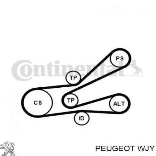WJY Peugeot/Citroen Мотор в зборі