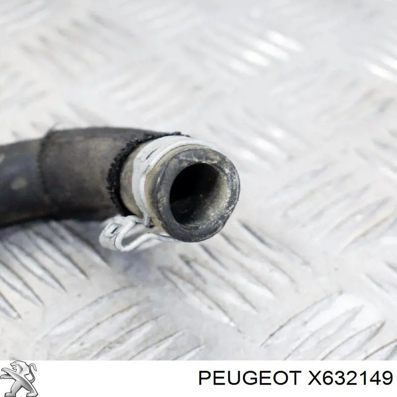 X632149 Peugeot/Citroen 
