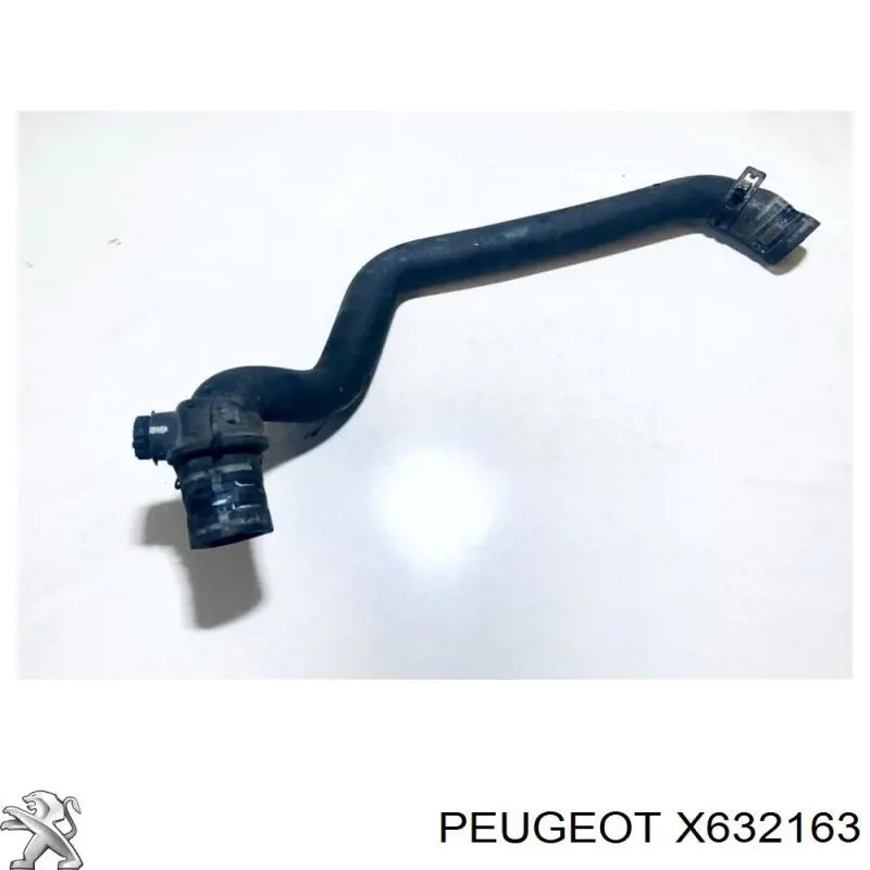 X632163 Peugeot/Citroen 