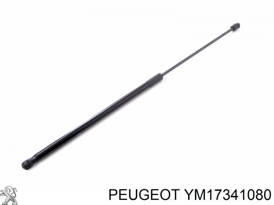 Амортизатор капота газовий Renault Scenic GRAND IV мінівен (R9) (2016 - 2026) ціна, від 25.44 USD