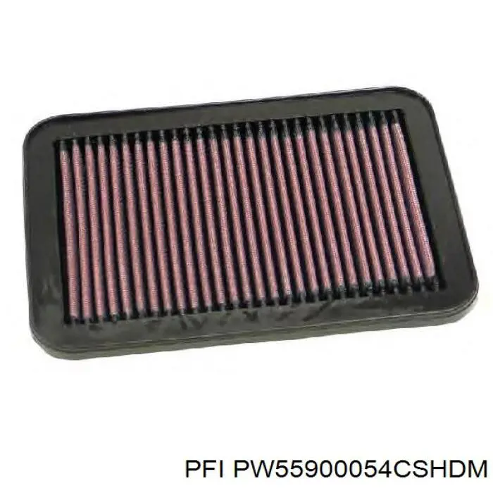Підшипник ступиці PW55900054CSHDM PFI