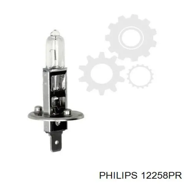 Купити 12258PR Philips Лампочка галогенна