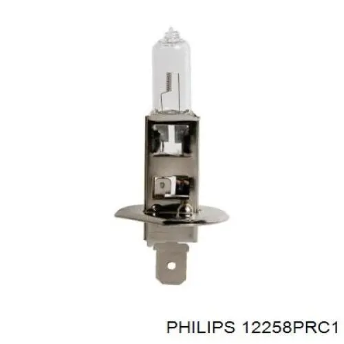 Купити 12258PRC1 Philips Лампочка галогенна