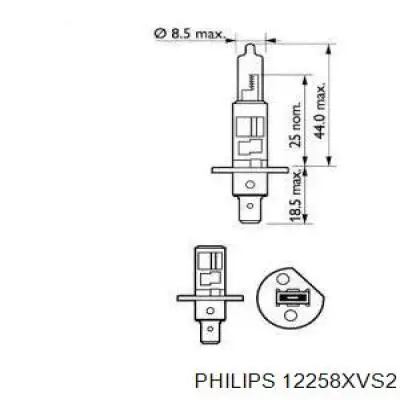 12258XVS2 Philips Лампочка галогенна