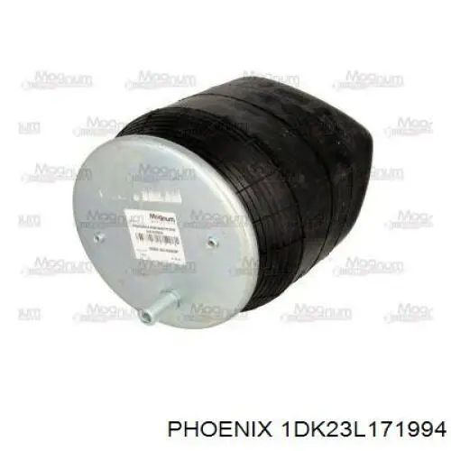 1DK23L171994 Phoenix 