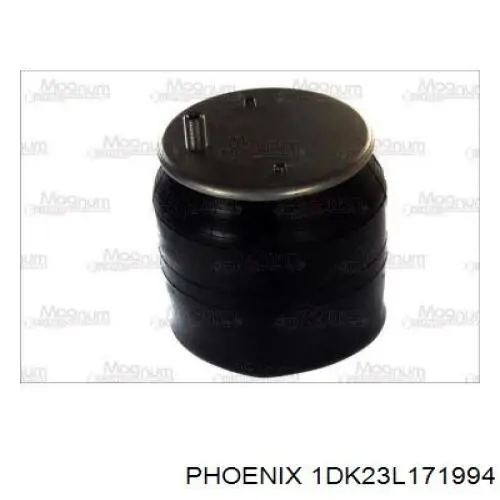  1DK23L171994 Phoenix