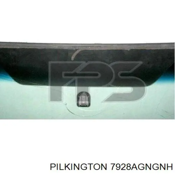 Купити GS6715D12P Pilkington Вікно вітрове