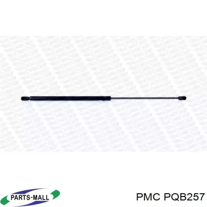 Амортизатор багажника PQB257 Parts-Mall