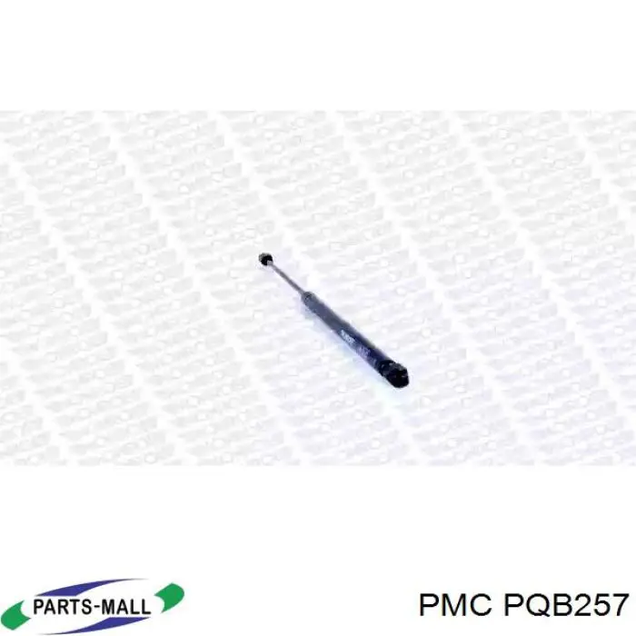 Купити PQB257 Parts-Mall Амортизатор двері багажника