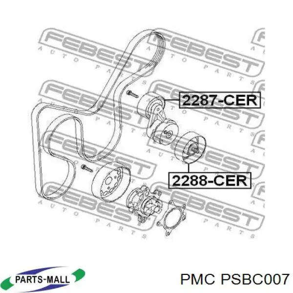 Ролик приводного ременя, паразитний Parts-Mall PSBC007