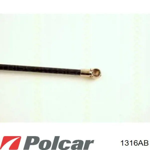 Амортизатор двері задньої Polcar 1316AB ціна, від 9.44 USD