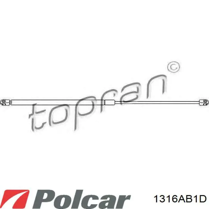 Амортизатор двері задньої Polcar 1316AB1D ціна, від 11.20 USD