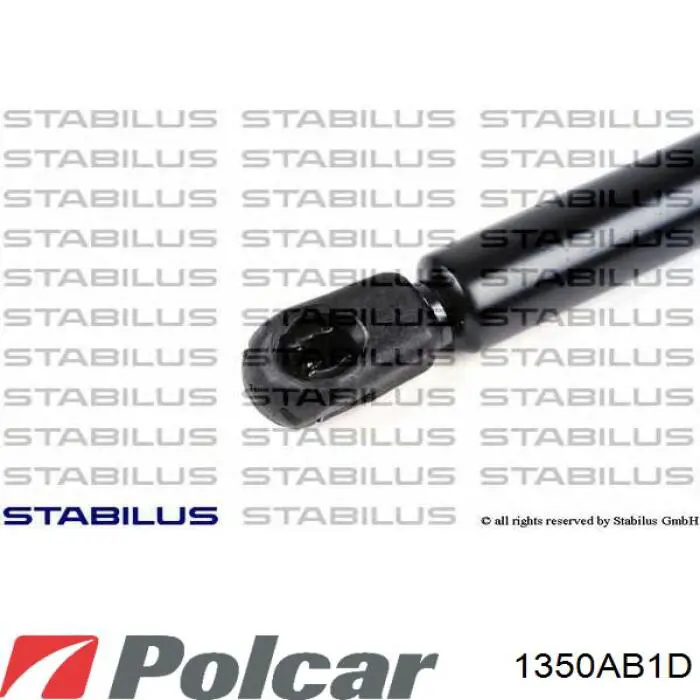 Купити 1350AB1D Polcar Амортизатор двері багажника