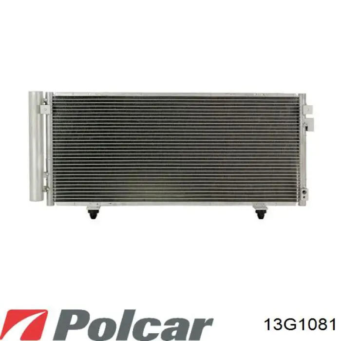 13G1081 Polcar 