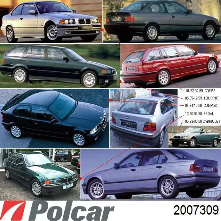  2007309 Polcar