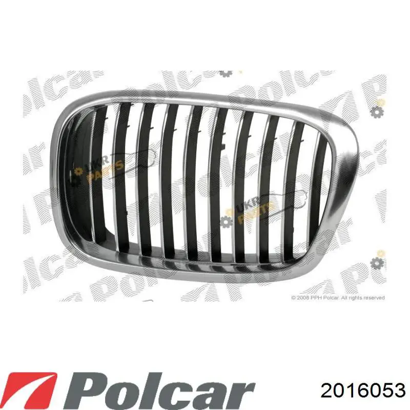 Решітка радіатора ліва BM07019GCL TYG