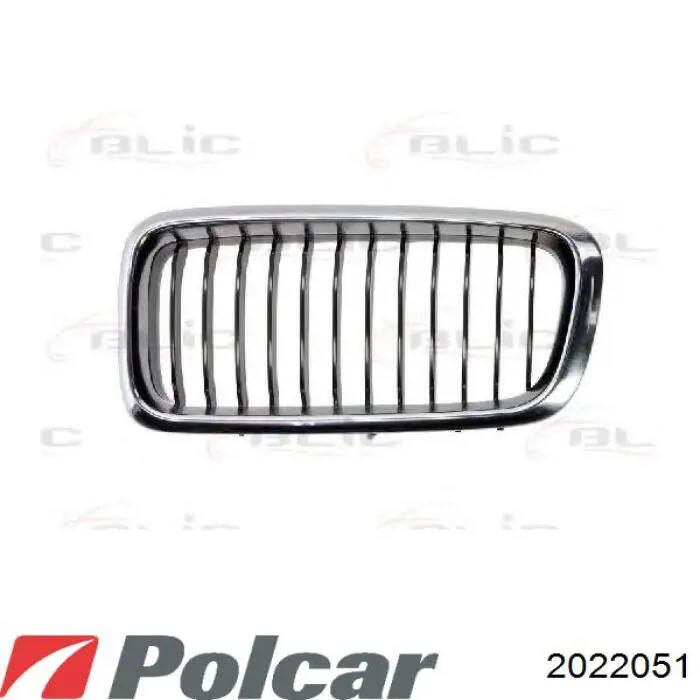 Купити 51138172279 BMW Решітка радіатора ліва