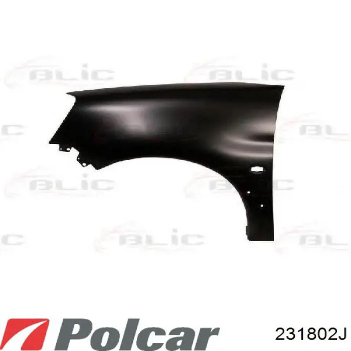 Купити Крила Citroen C3 II A51