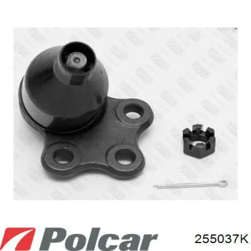  255037K Polcar