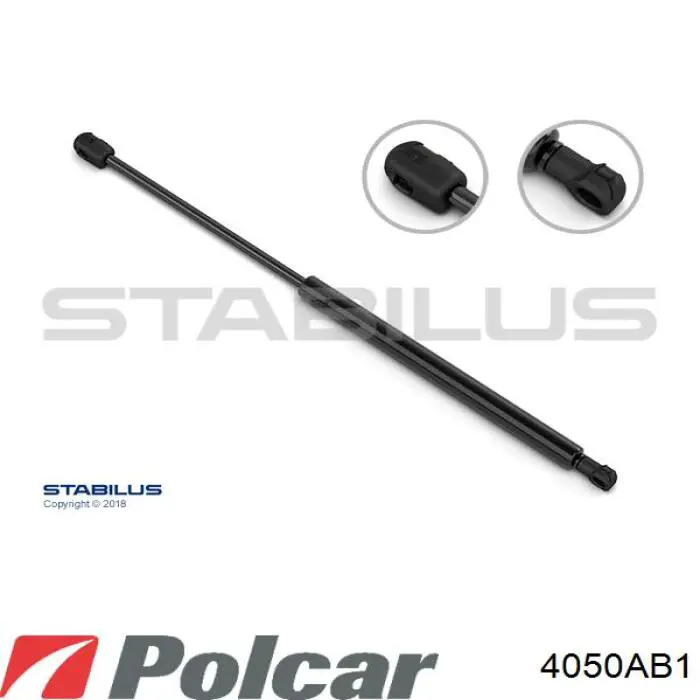 Амортизатор двері задньої Polcar 4050AB1 ціна, від 8.38 USD