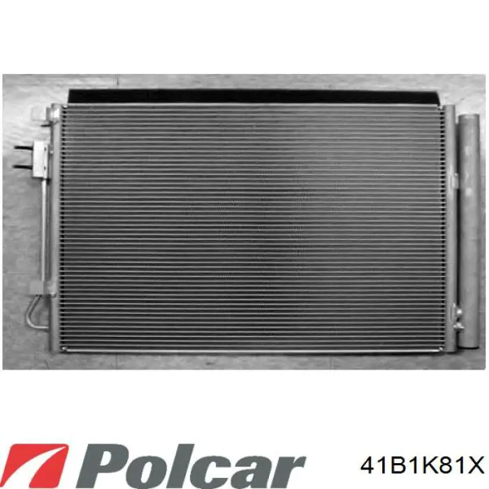 41B1K81X Polcar Конденсатор