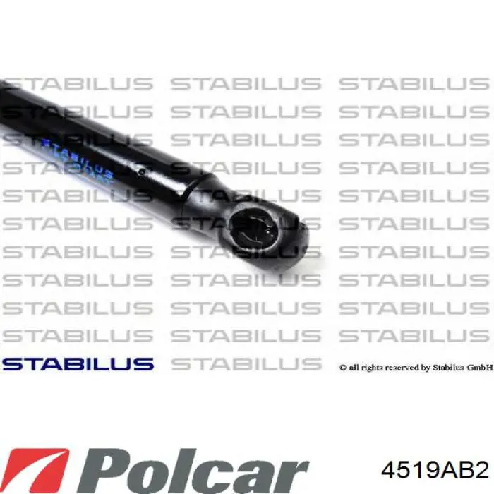 Амортизатор двері задньої Polcar 4519AB2 ціна, від 10.14 USD