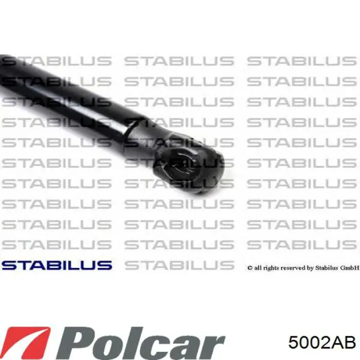 Амортизатор двері задньої Mercedes A2029800364 ціна, від 5.07 USD