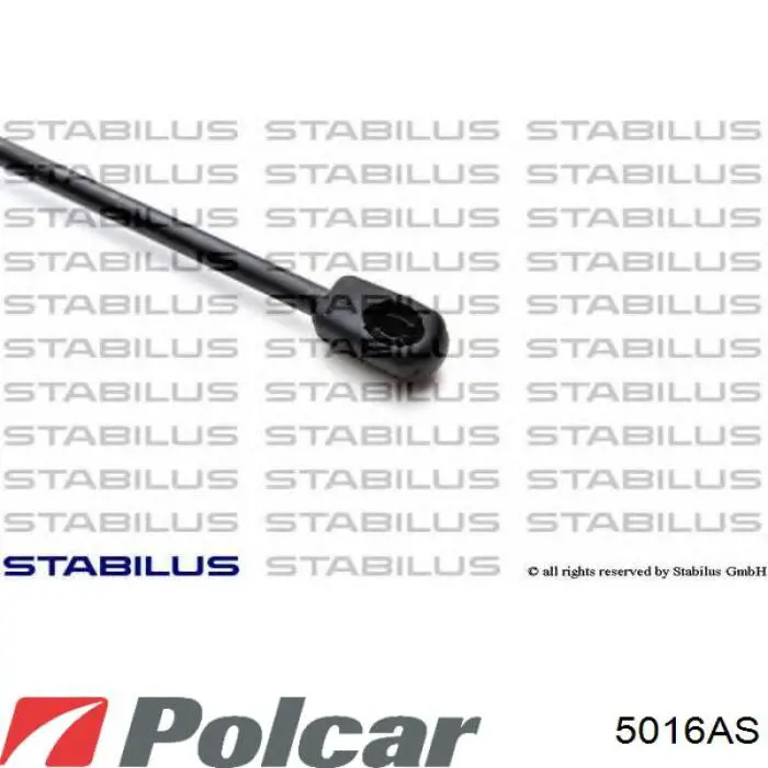 Купити 5016AS Polcar Амортизатор під капот