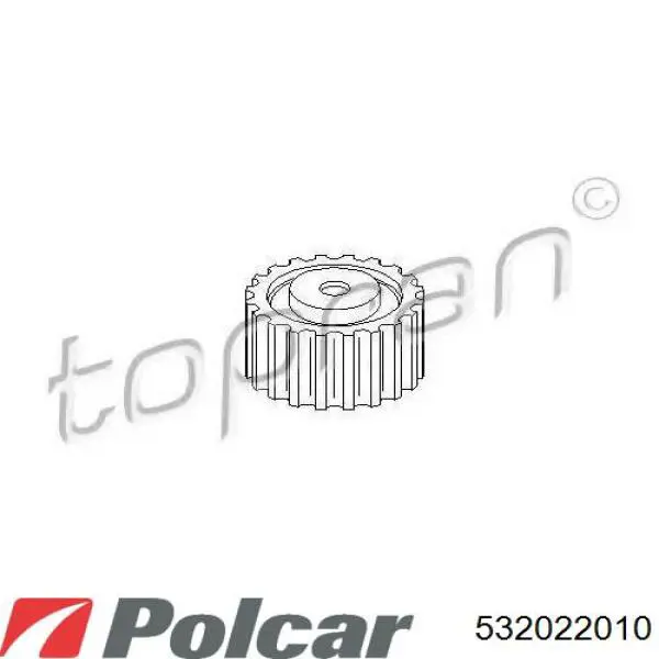 Ролик ременя ГРМ, паразитний Polcar 532022010 ціна, від 22.50 USD
