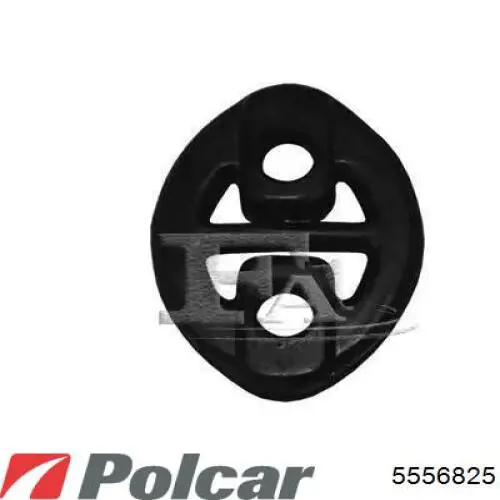 5556825 Polcar Молдинг арки колеса заднього, правий