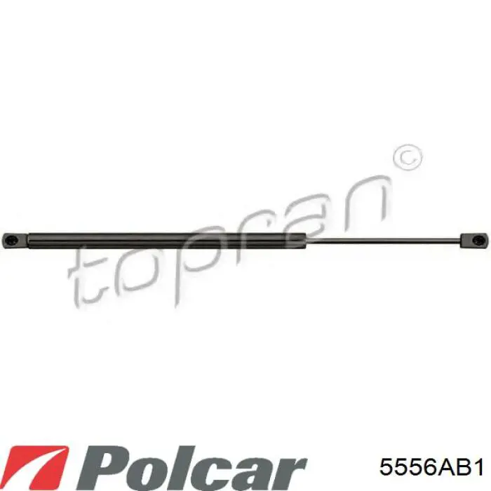 Амортизатор кришки багажника Ashika ZSA04038