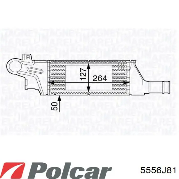 5556J81 Polcar радіатор интеркуллера