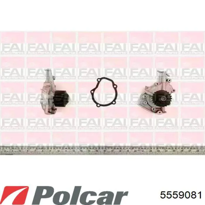 5559081 Polcar Радіатор охолодження двигуна