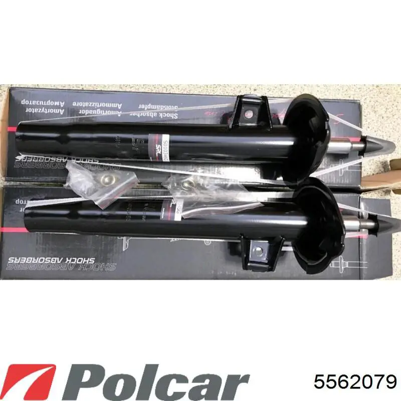  5562079 Polcar
