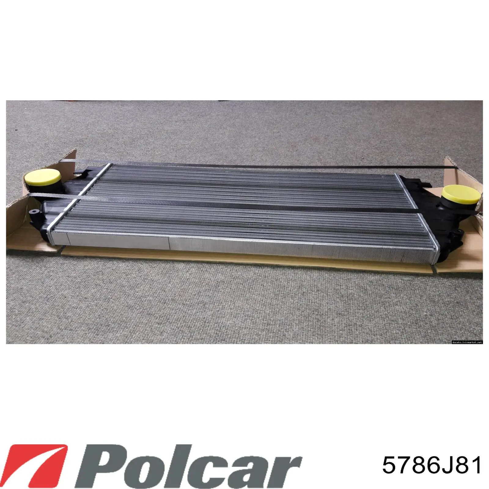 Інтеркулер 5786J81 Polcar